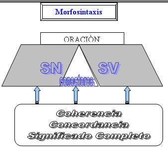 Estructura de la relación necesaria entre todos los elementos de la oración para adquirir el nivel morfosintáctico